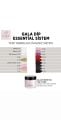 Dip Essential Sistem