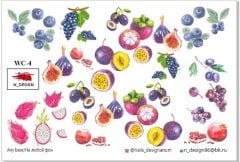 TNL PROFESSİONEL STİKER WC-4