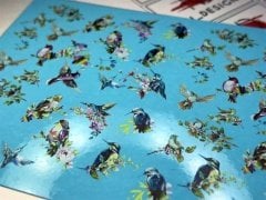 TNL PROFESSİONEL STİKER WC-5