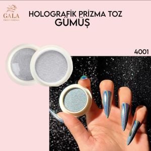Holografik toz -4001