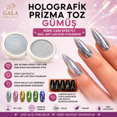 Holografik toz -4001