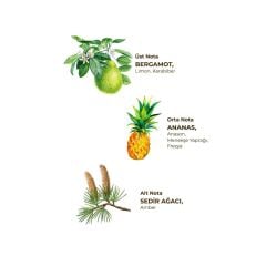 EST - Okyanus Kolonyası 400 ml - Pet Şişe